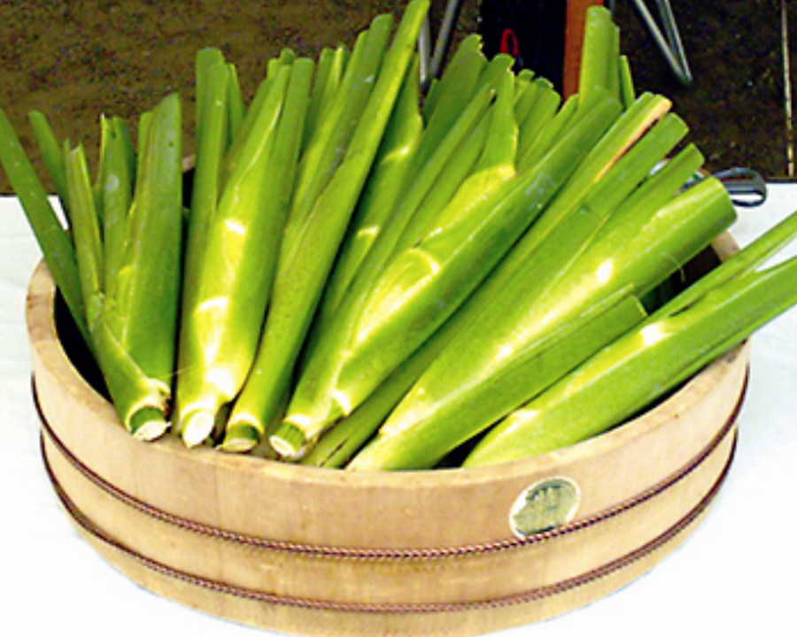 三重県の真菰 まこも Umekiki おいしいをめききする