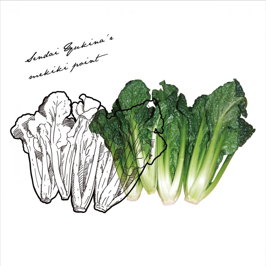 仙台雪菜 Umekiki おいしいをめききする